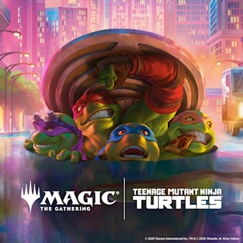 Teenage Mutant Ninja Turtles set logo